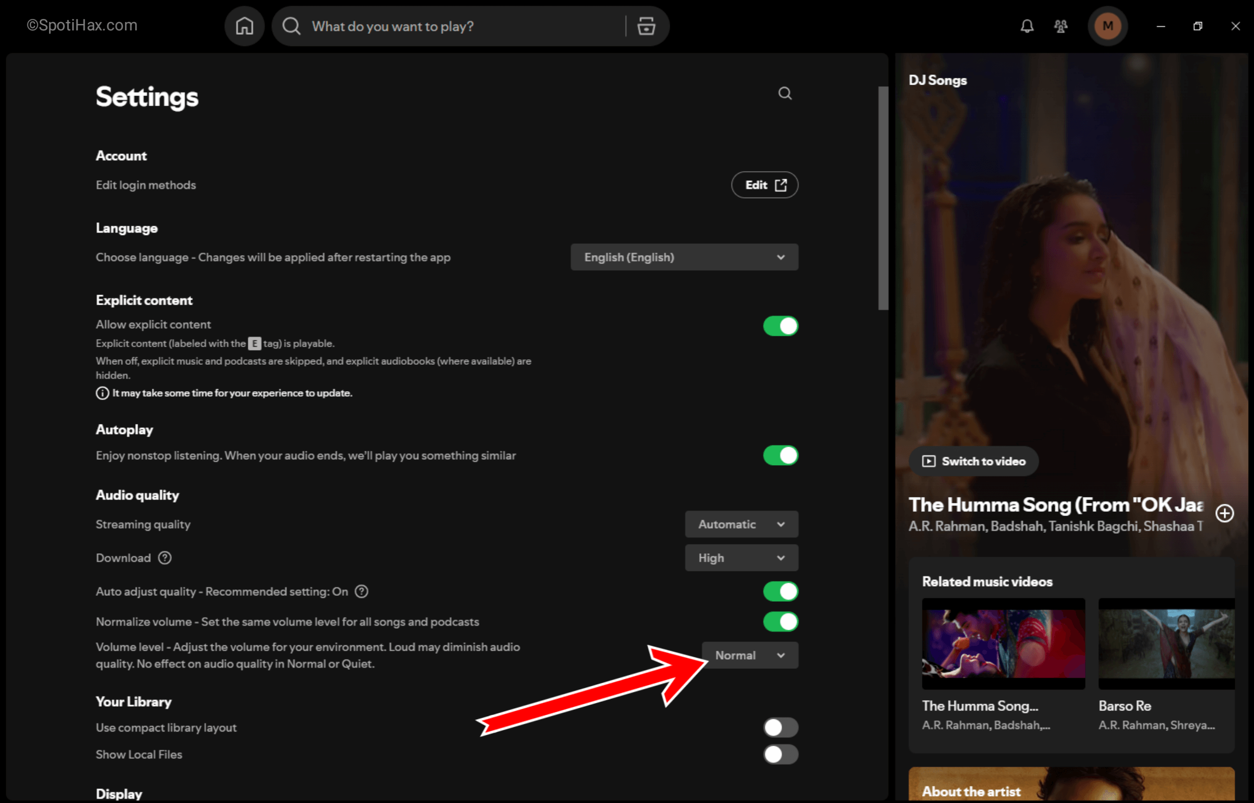 "How to Adjust Spotify Volume Level on Desktop" Guide Image
